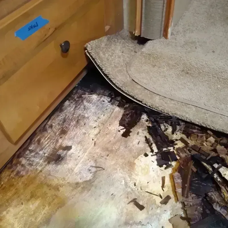 Wood Floor Water Damage in Tyrone, PA